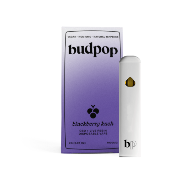 Budpop Blackberry Kush CBD Broad Spectrum + Live Resin 2G Disposables (1000 mg) for sale